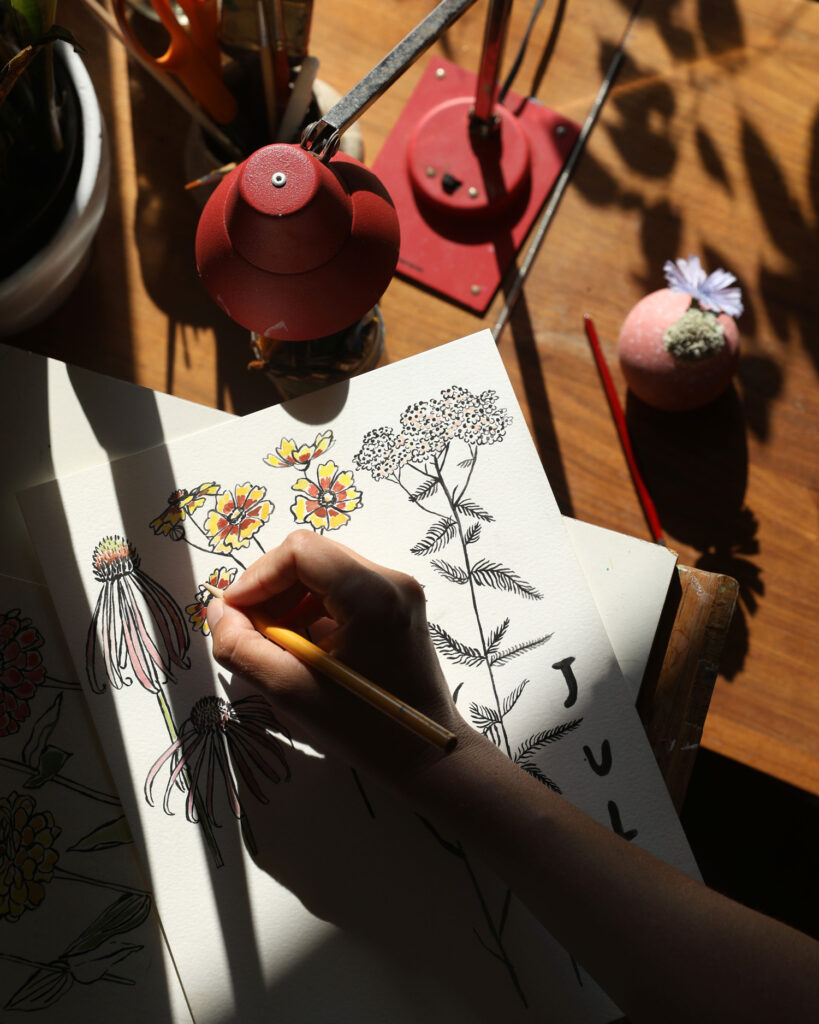 Maria Stella Schoettler stories COLOR DROPS