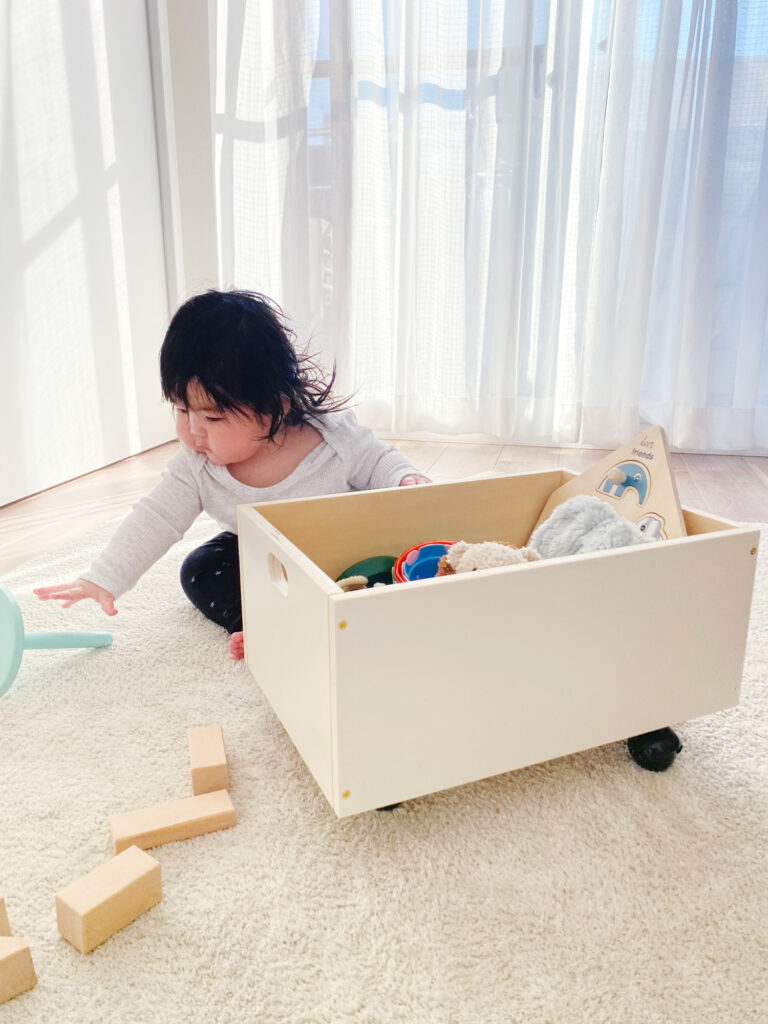 手束 正弘 (Masahiro Tetsuka) Story - LINDEN BOX with a FLAT DOLLY (caster stand)