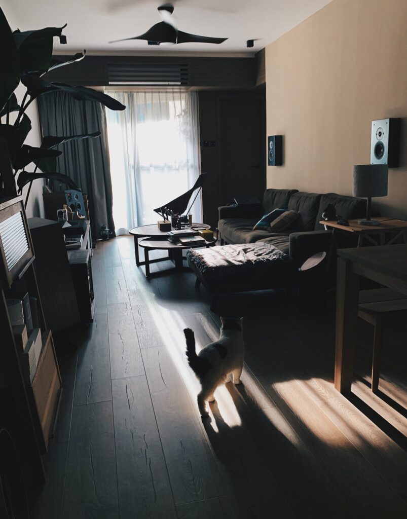 AHA Living riz living