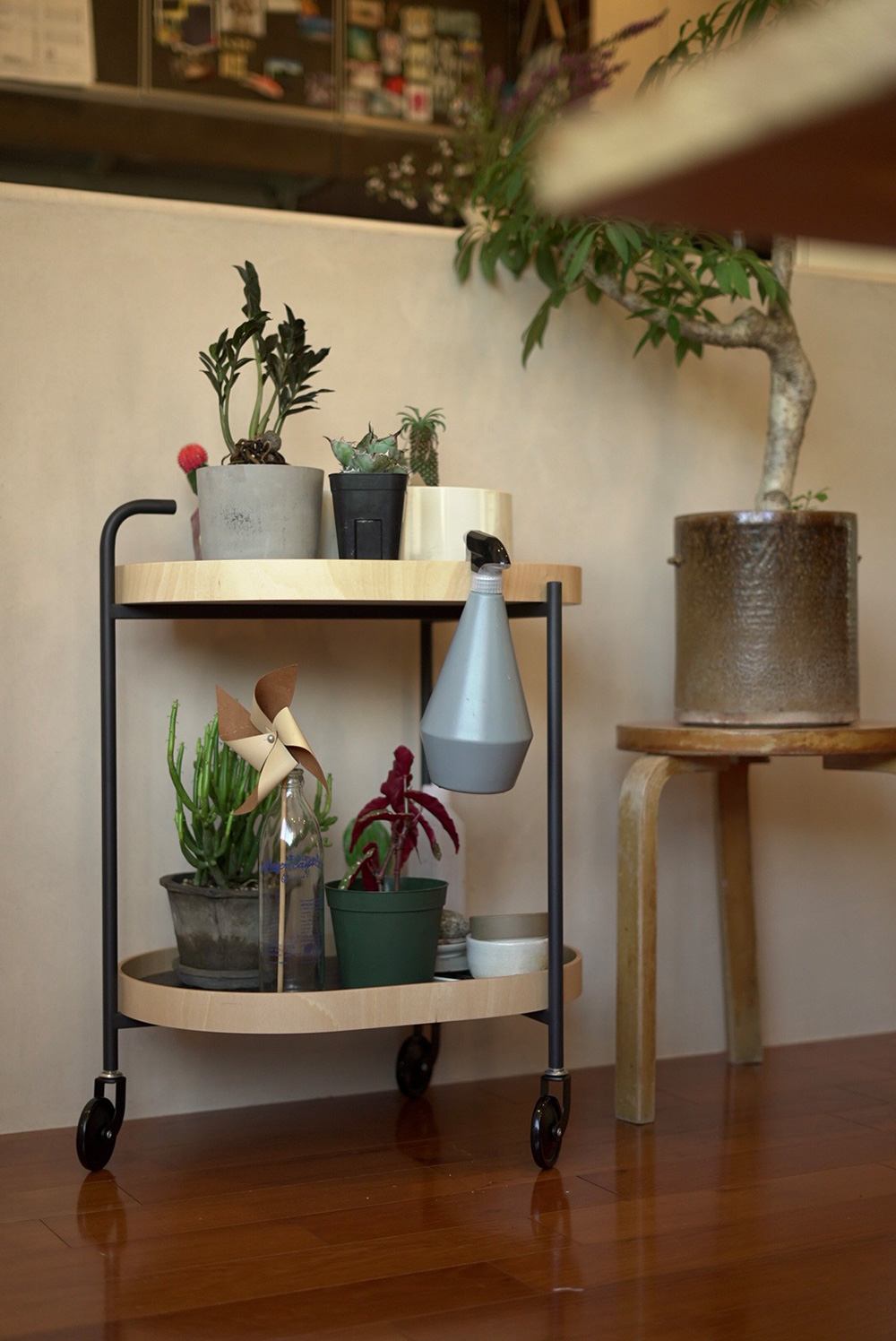 MOS Hiroyuki Aoyama TROLLEY