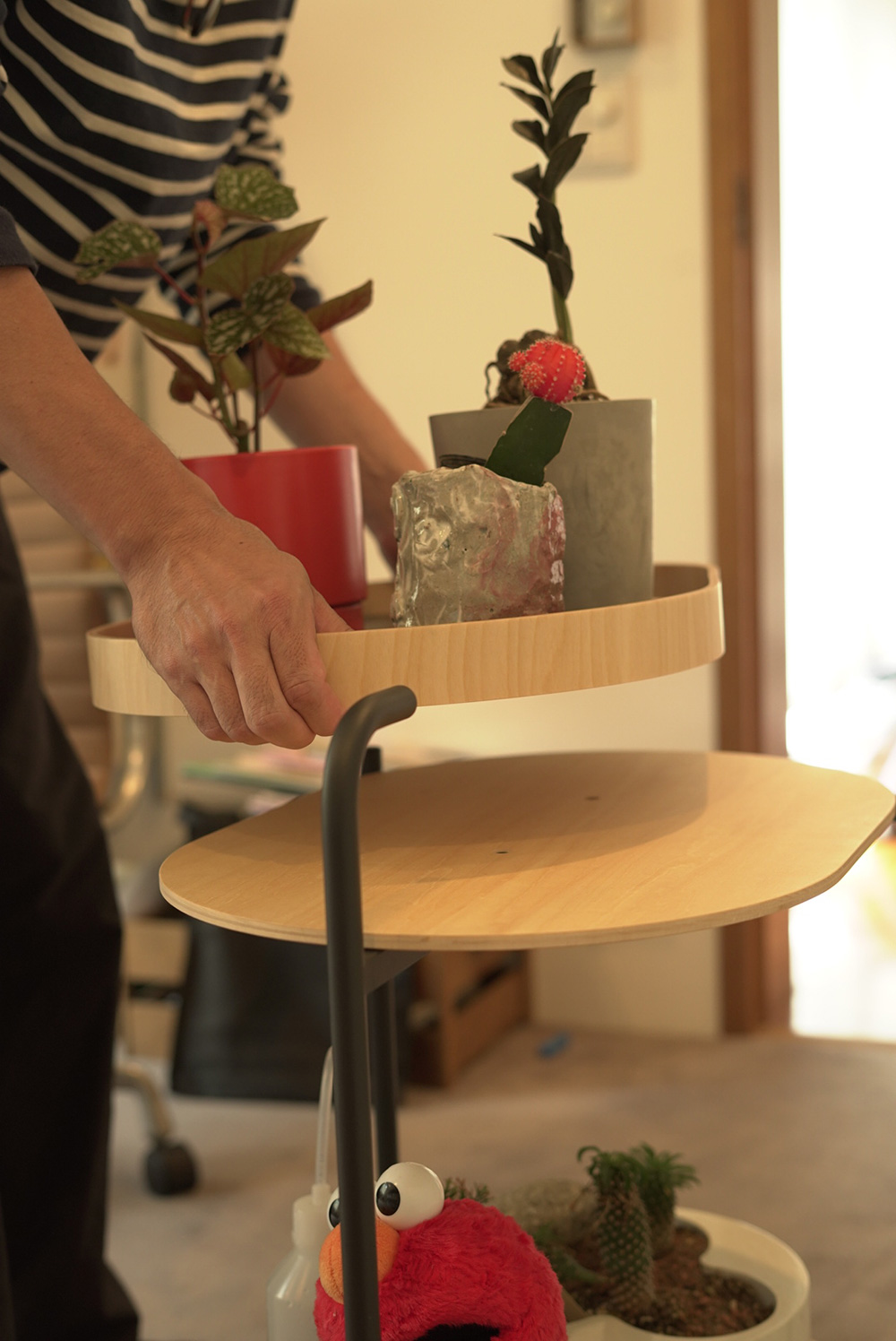 MOS Hiroyuki Aoyama TROLLEY